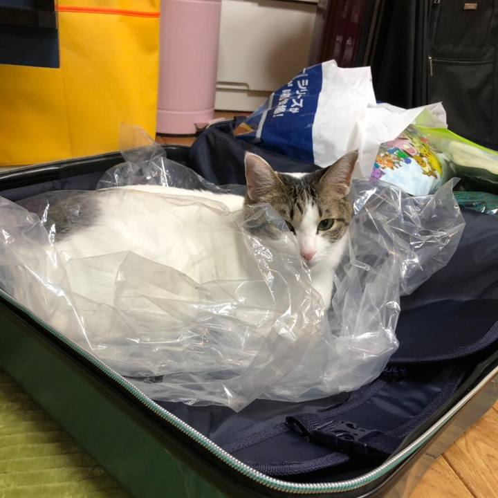 De38d924 a905 4000 8a69 e3078cde00f9 1547124529630