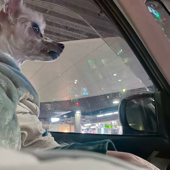 De38fe63 79a9 4be9 8eed 1b1e9467dfdd 1771581453166