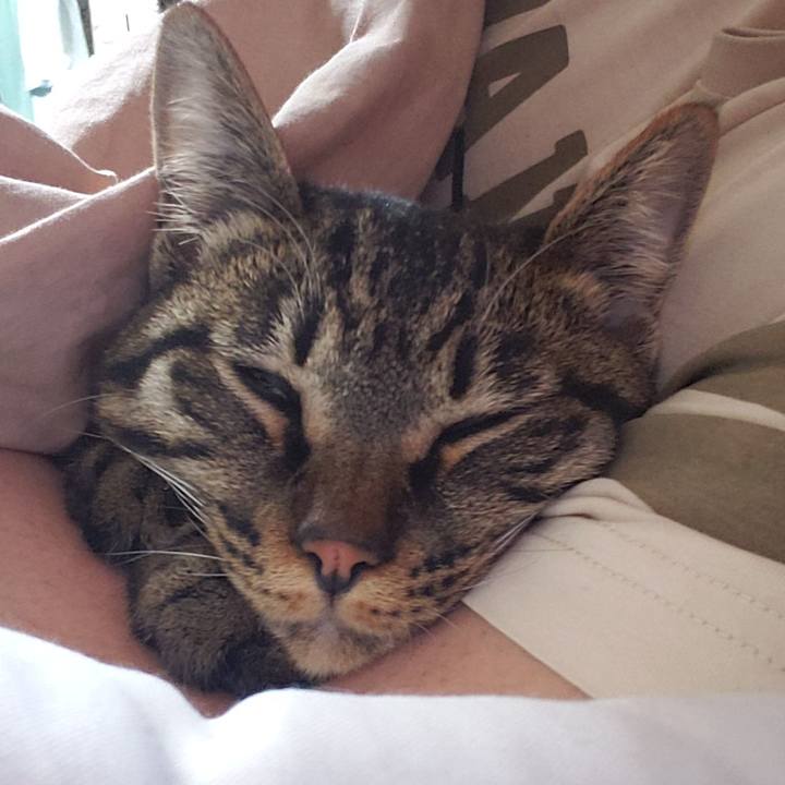 De3909f2 7d6b 4c52 acd3 31b6a7cf0130 1553956436141