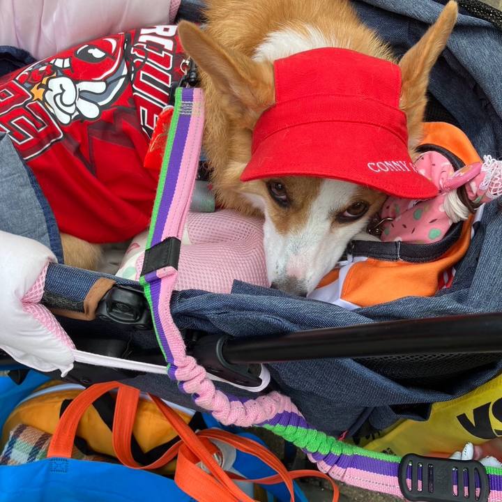 De391a62 5372 47ca 83e0 be87ff0405fd 1759013595892