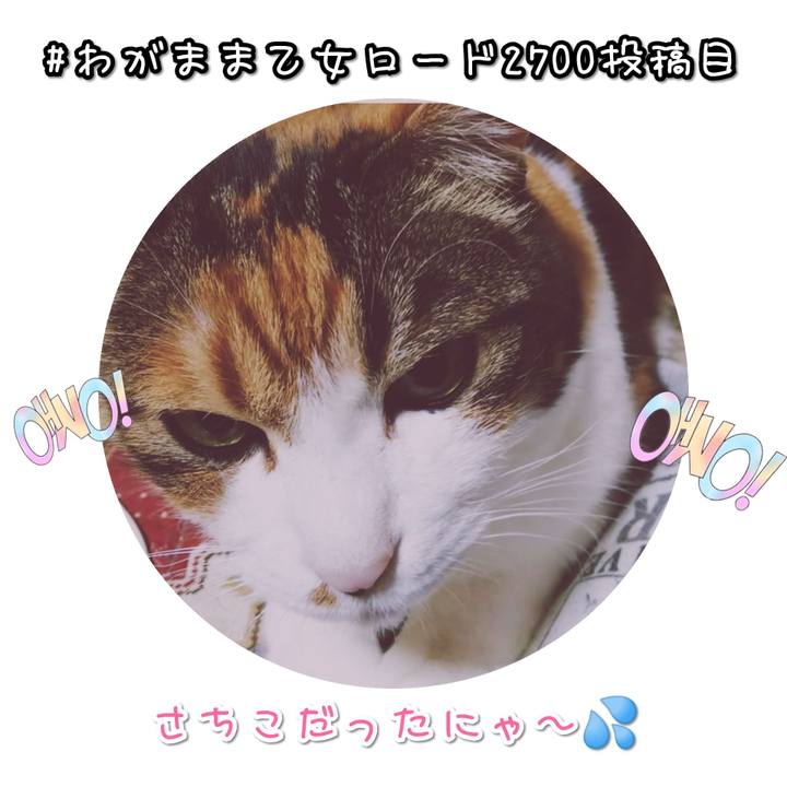 De392a50 03e9 4fc1 b83a ed13c20a0bc7 1582019227989