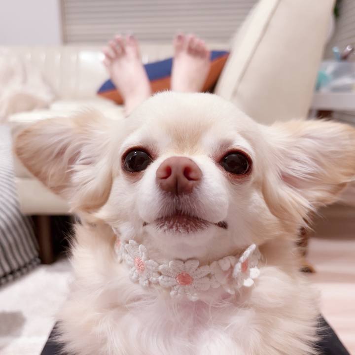 De394138 a95a 45b0 82ae c477c066d6e5 1751893383909