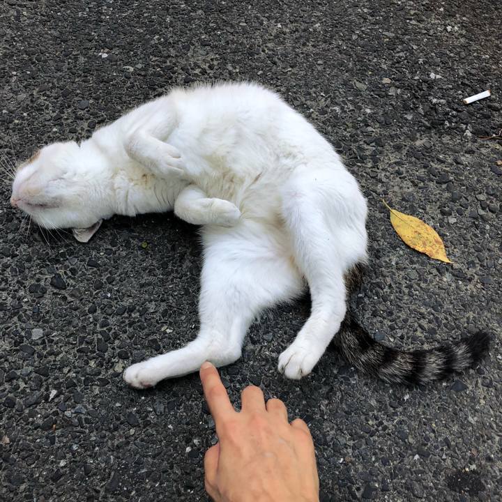 De39514d dacc 4c8b 810d b473c20c442a 1536146879634