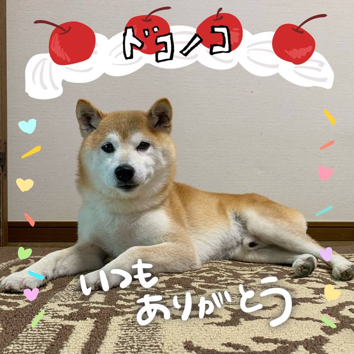 De395701 1717 4d97 9b06 93c0fc85f0e8 1685953156798