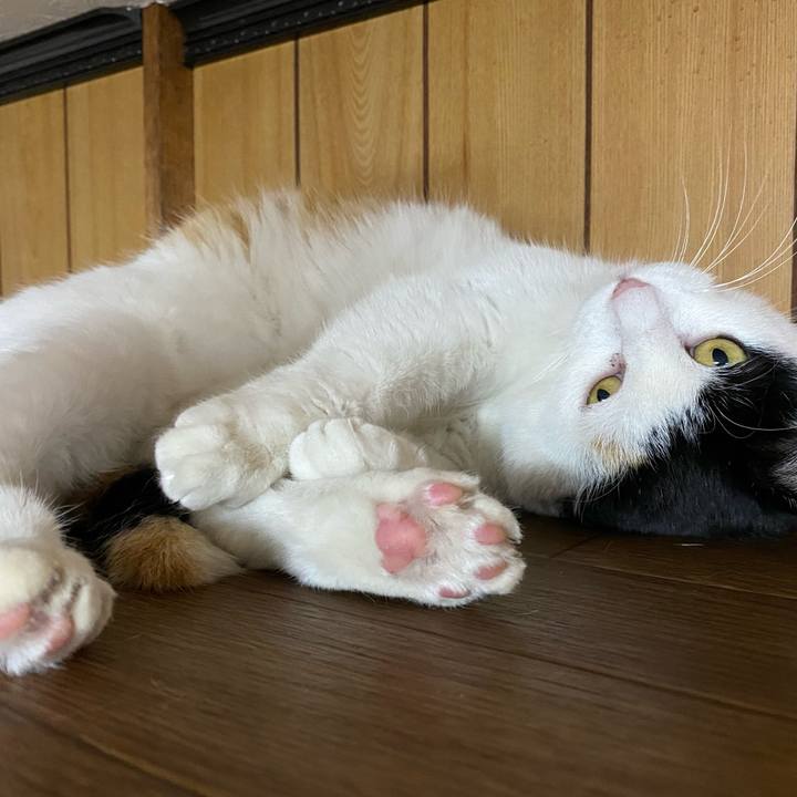 De399f60 c89b 4520 bac3 6cf54e19d482 1643801949689