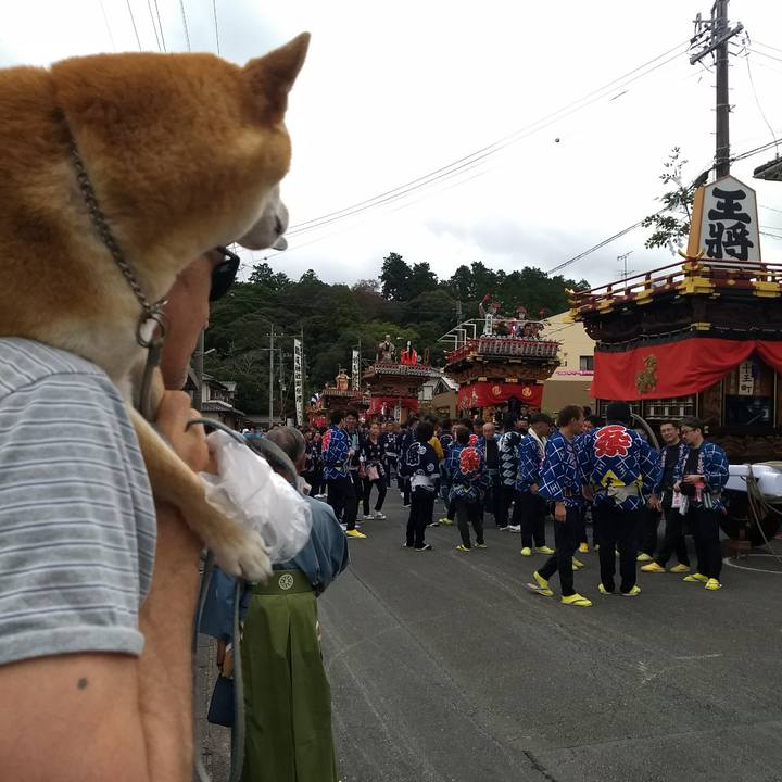 De39b3ab 7758 4a28 bd96 84faac38a88c 1538833891479