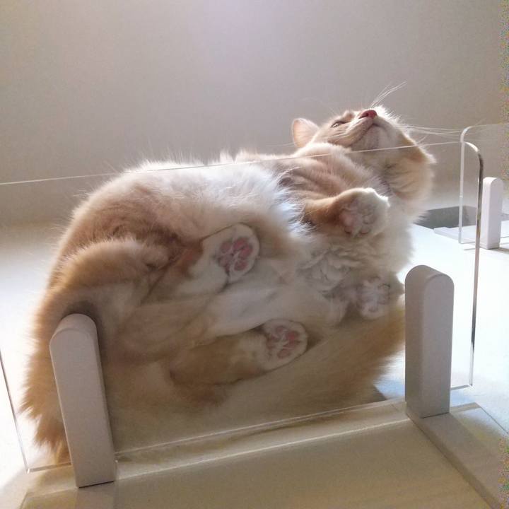 De39b8bd 88c0 44bc 85f3 2dd65a83332a 1637241429804