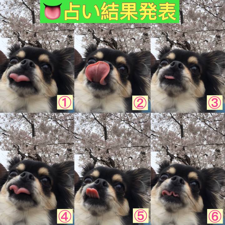 De39cc0b 8fb6 4afc b29a 934382acd69b 1586051405403