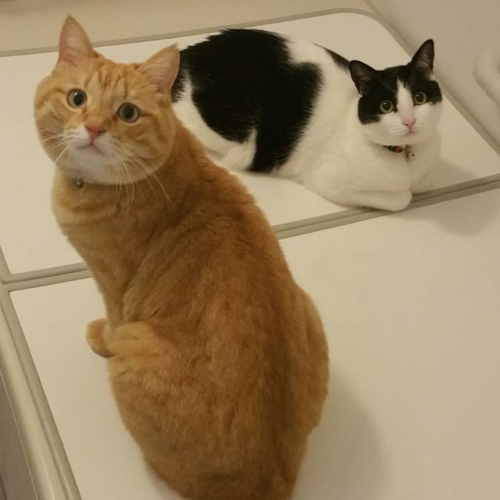 De39e182 ffd2 45bd b544 e91d11359171 1518130314493