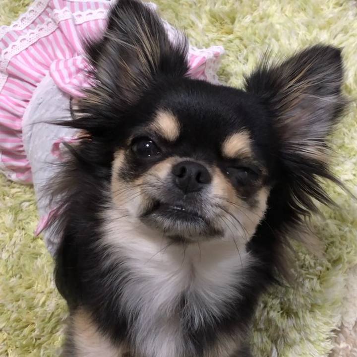 De39fb15 1b2f 4141 9d85 d7cc5e0cefe0 1557536028558