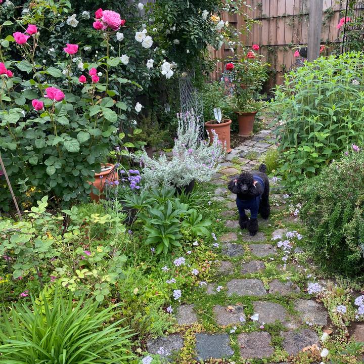 De3a5cc1 1739 4cdf b0bd 438c57526186 1589777926611