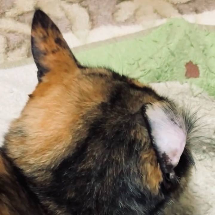 De3a623d 80f0 4954 a3db 038dc17b588f 1736587547035