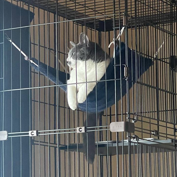 De3a9fba 3fe4 435d ad6c 36120978f982 1696115398205