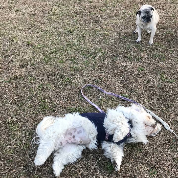 De3acaa7 5c4d 4d76 90c5 af85fbb87c48 1582114814451