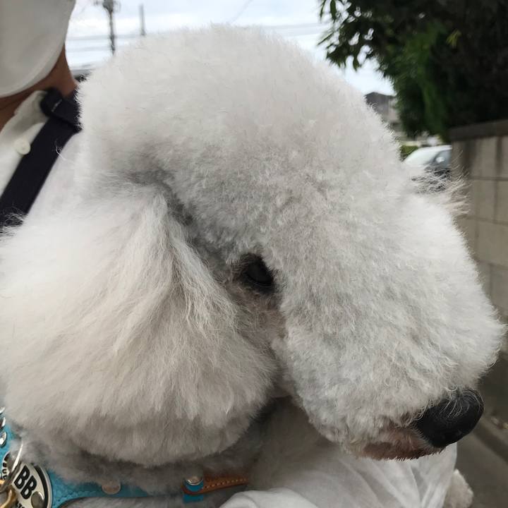 De3addf0 bc05 4c08 87c3 32c2fb3d1f75 1685274489167