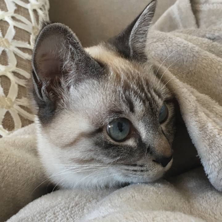 De3b0315 18f1 4498 892b 8139de2d6417 1547438064447