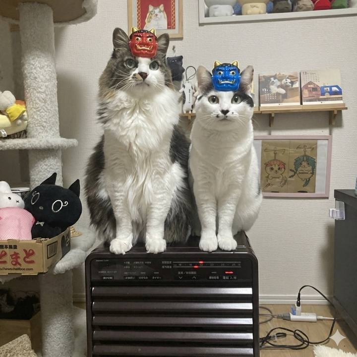 De3b329f f2d1 4928 8955 08e51583d18a 1770119335455