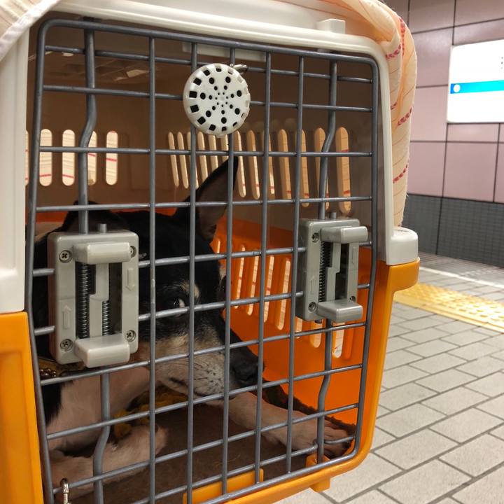 De3b46b3 aa3d 4825 a957 636e38090342 1525247492366