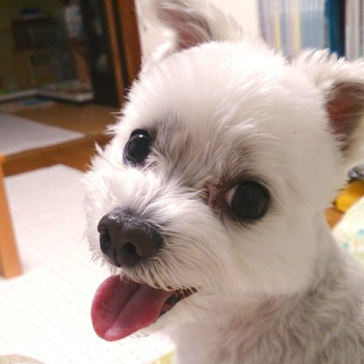 De3b7727 3d97 46b5 abd8 5d8f5df62d6e 1512808445374