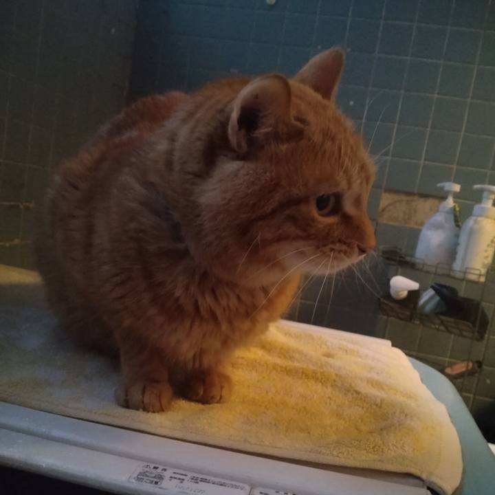 De3b954e 8d68 47e6 b365 34086aec06a4 1708503492547