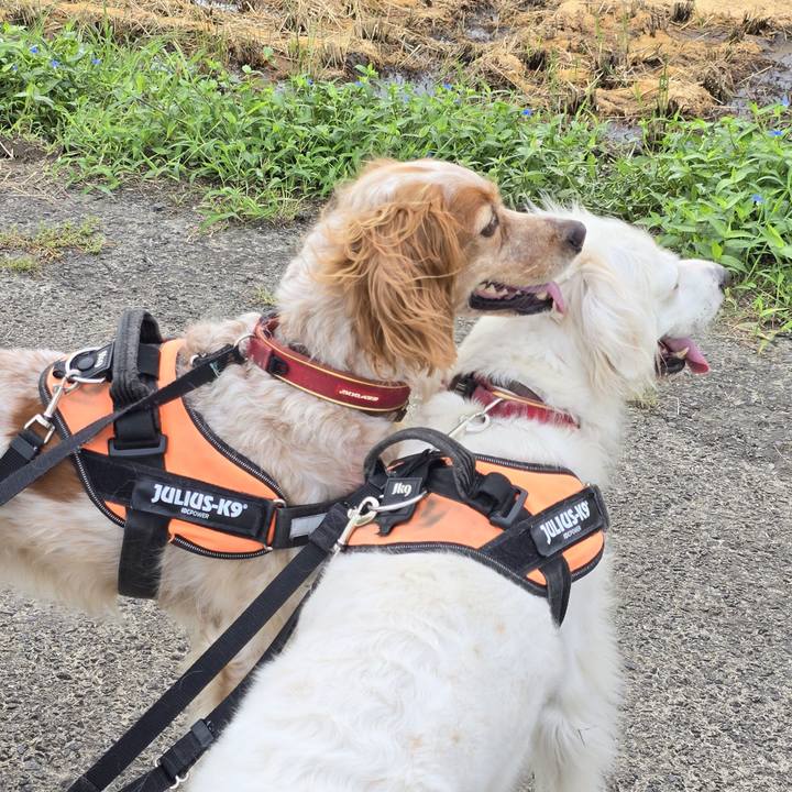 De3b9a9e f170 409e a792 846eaf68ddeb 1725409161221