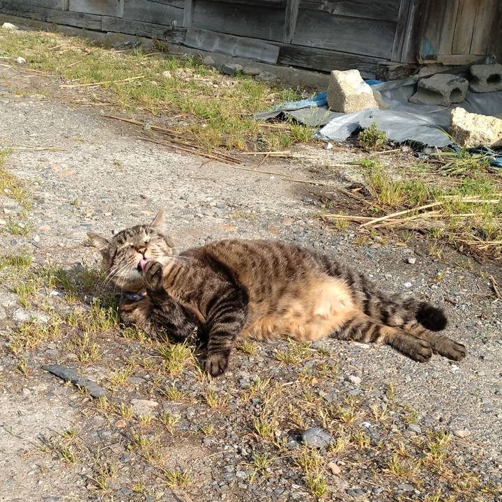 De3bab49 1f59 4d5f 9efe 7ccbd09a7d5f 1684624192472