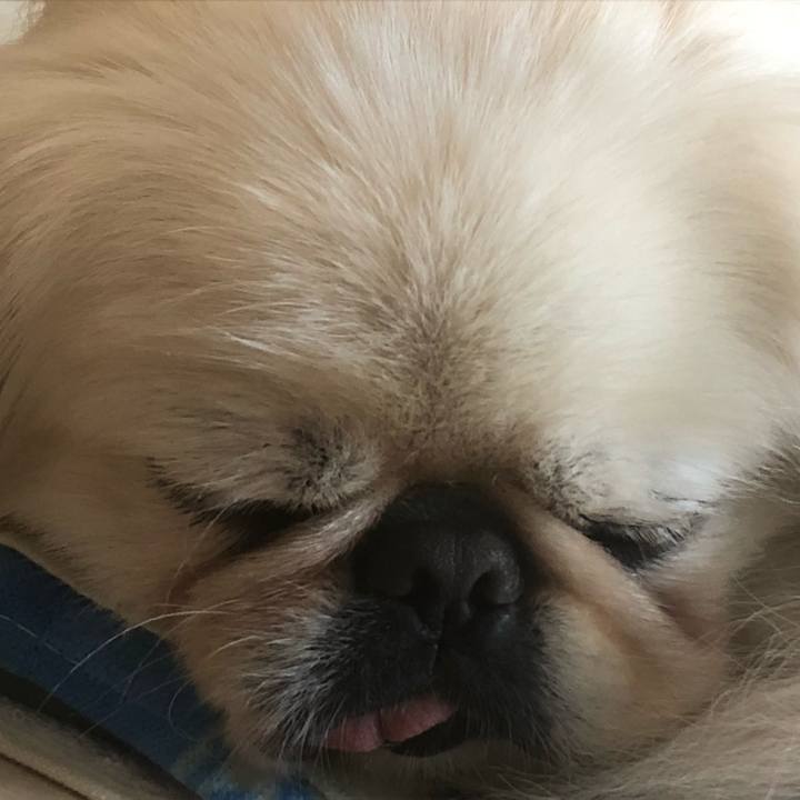 De3bffa7 9582 40a4 a482 957e03eedf3a 1535167807272