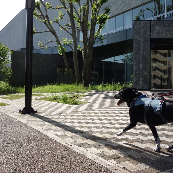 De3c281e 9a4e 4004 a3df 265c7bb6c6d5 1715907439081