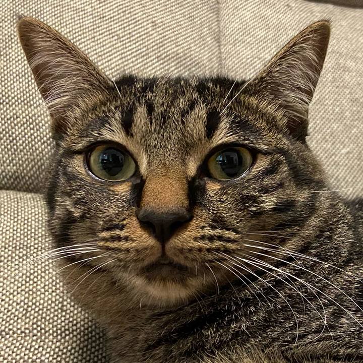 De3c4da3 5219 4417 bb5d fb5aae05dd74 1625570524599