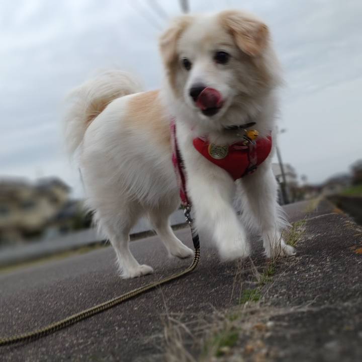 De3c656b 3725 47a6 b7ac 52d9133678c0 1647856205285