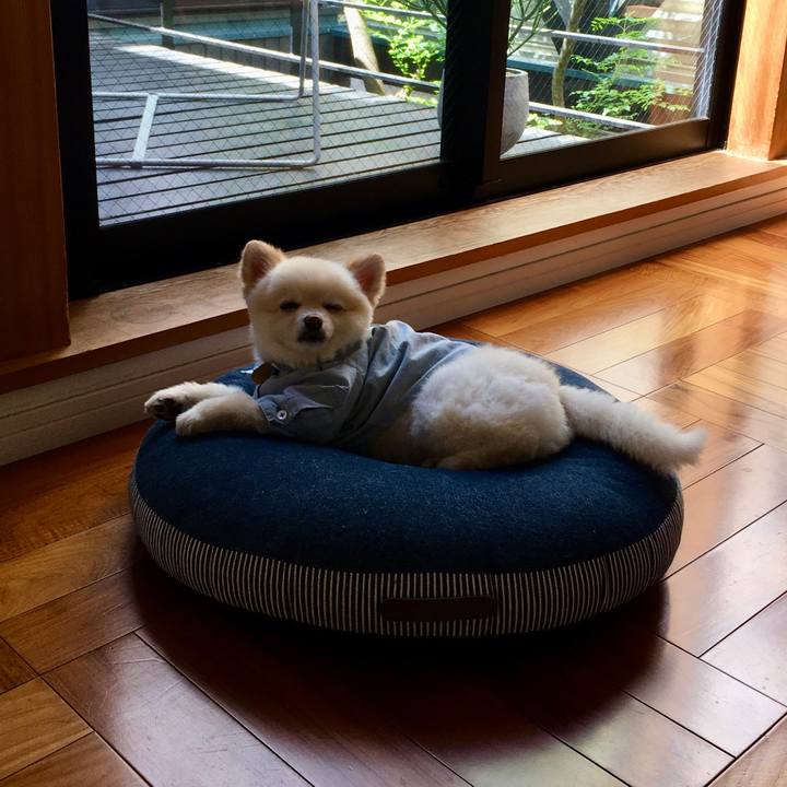 De3c713a eb03 4391 942b 4fd72b039389 1590627893155