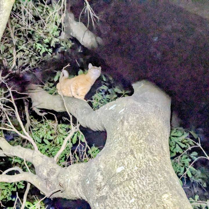 De3cb05c ea59 4a48 bee7 1ffe91144da7 1758454923017