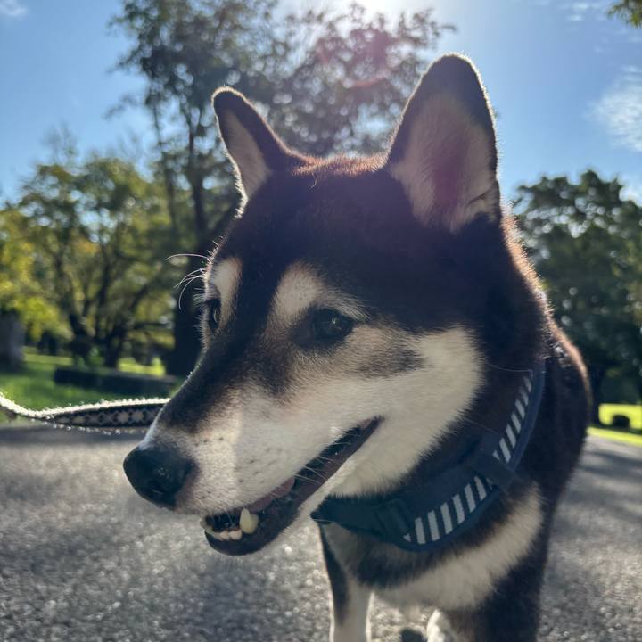 De3cde2e 188a 4101 b326 65d9eb8f228e 1758640192394