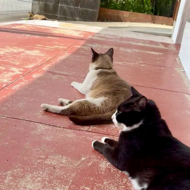 De3ce508 d04c 41c1 a9be 6b95ad99f66c 1746410810911