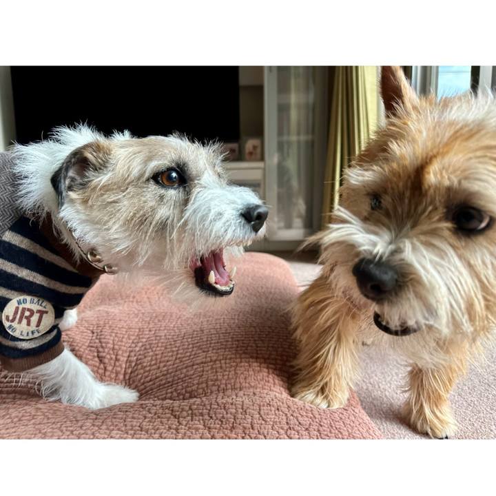 De3cf597 bf50 4801 850f e3411f78b060 1737810018152