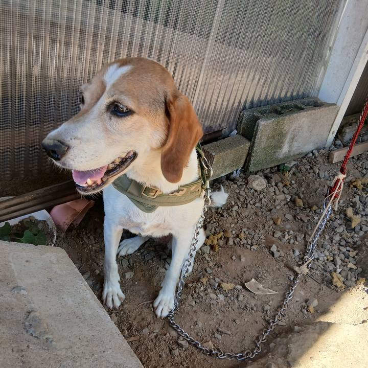 De3d318f febd 4b70 9d90 6f7675303c92 1753510953928