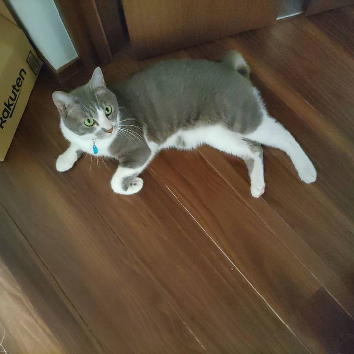 De3d37e8 18b7 465f a9ec a7152e7c5a0a 1663107586686