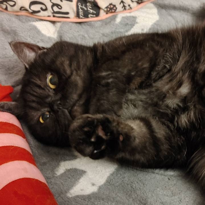 De3d47c1 3294 42e4 b38c 382919cde35d 1616336112883