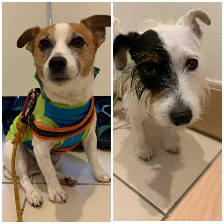 De3d548a eab4 4c61 9125 561da0158522 1601081996385