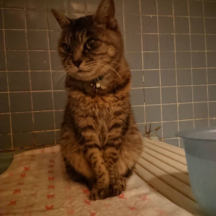 De3d597e 6c83 4472 9a71 a86d68563f5d 1577092163359