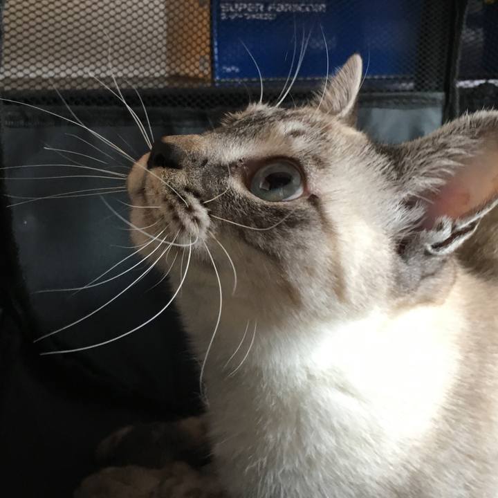 De3d7326 86a4 4de2 b6ec 048bf0029274 1548987240982