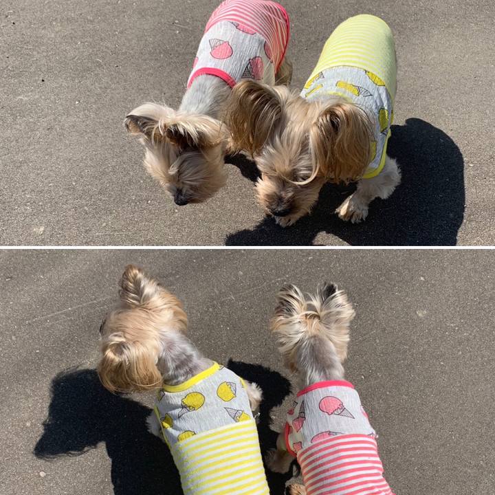 De3d78e4 c22a 4d27 9713 3d0b7f2f012a 1683713183147