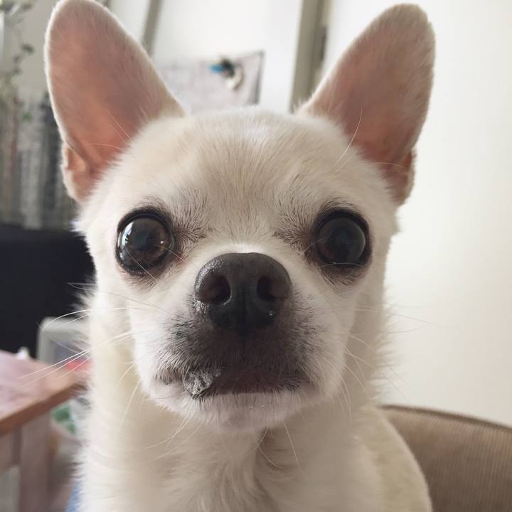 De3d92d5 0643 4896 b61d b32997a95346 1516792362653