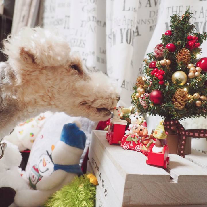 De3d943d 3844 457e bcfc 794cac06594a 1545087430675