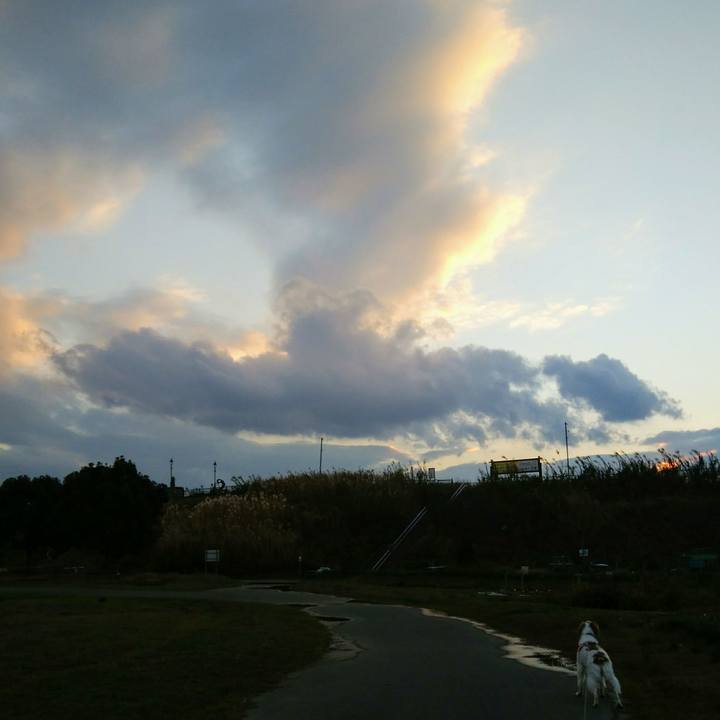 De3dde1b 4640 4773 a8ac 1d16d21618ff 1545036746861