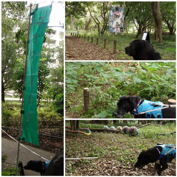 De3df0bb fbfe 4575 b7bc 3c2188daca3a 1635641327538