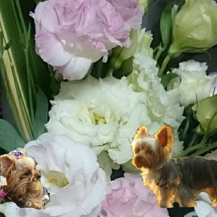 De3df410 f64a 4429 86bd 37490aac8676 1544709003298