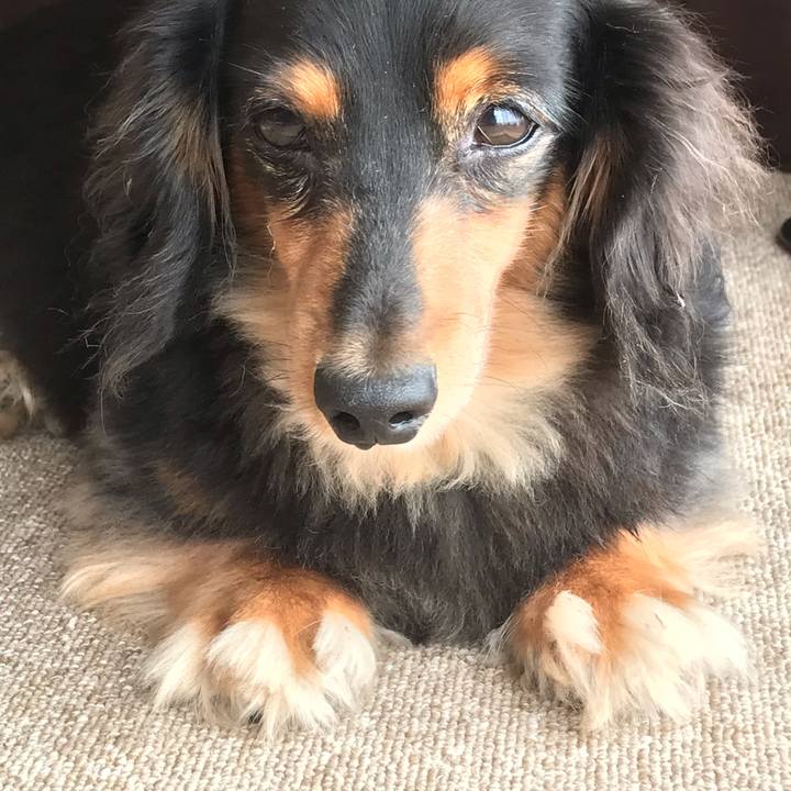 De3df892 51b5 4759 a56a 69d9b8488e24 1538865860140