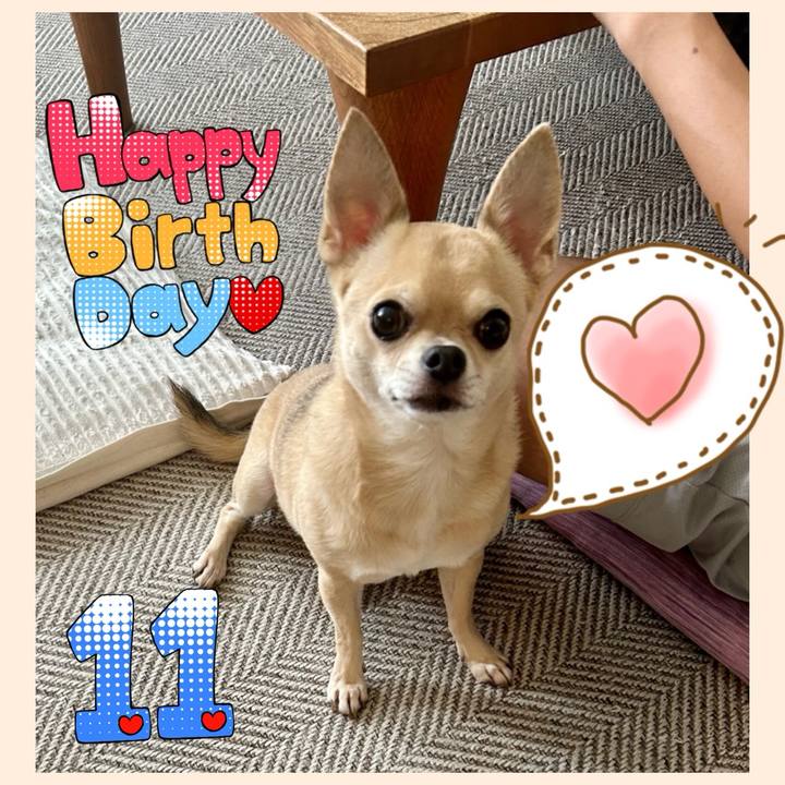 De3e1a14 b9b2 47fd b2ba 401501862d2c 1726219086337