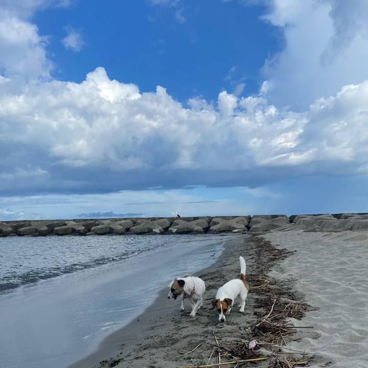 De3e37f9 bac9 487d 8e57 a33a921360f6 1627520912403